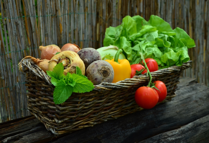 traiteur-HYERES-min_plant-fruit-food-salad-harvest-produce-879579-pxhere.com